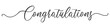 © Elsa - Congratulations handwritten text lettering on white background.