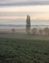 Deserted Wintry Landscape At Sunrise With Fog, Hoarfrost, Trees And Fields