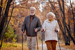 © Roman - nice happy gray haired caucasian aged couple enjoying health-promoting physical activity using walking poles having happy facial expression, breathing fresh air in autumn season nature, smiling