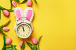 © Olga - Alarm clock in rabbit ears surrounded by tulips. Easter spring change of seasons.