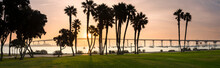 Coronado Bridge Behind Silhouettes Of Palm Trees At Sunrise, San Diego, California, USA