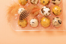 Easter G Quail Eggs In Plastic Container  On Pastel Background