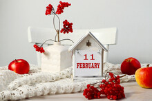  Calendar For February 11: The Name Of The Month February In English, The Numbers 11 On A Decorative House Among The Branches Of Viburnum, Red Apples On A White Napkin