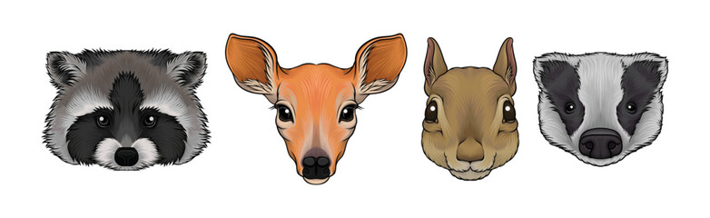 Wall Mural - wild forest living animal snout and muzzle with fur vector set