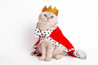 © Natasha  - A luxurious calm white cat in a golden crown and red mantle, sitting on a white background