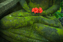 Red Hibiscus Flowers Placed As Morning Offering At The Base Of A Buddha Statue Covered In Moss, Ubud, Bali.