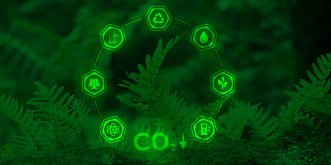 Wall Mural - Ecology, sustainable resources, renewable energy concept. A fern sprout surrounded by green energy symbols. Graphic design from a photograph. Dark green natural bright background.