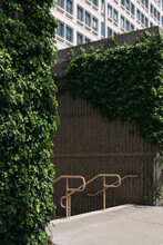Metal Handrail And Ivy Covered Walls