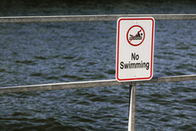 No Swimming Sign On A Boat Dock