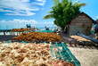© Adam Sébire/Stocksy - Seaweed industry - harvest drying on low-lying Pacific Island village