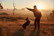 Man Plays With Dog At Sunset