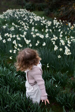 Little Girl And Flowers