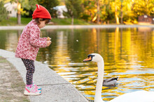 Kids Feeding Park Ducks In Autumn
