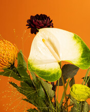 Bold And Vivid Flowers On Orange Background