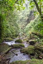 A Woman Stands In The Middle Of A Creek Surrounded By Jungle.