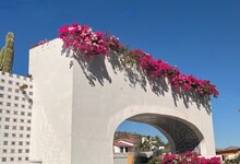 Mexican Archway With Bright Pink Bougainvillea Flowers