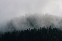 Fog Descending Over Mountain Forest