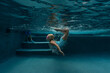 © Alison Winterroth/Stocksy - Girl flipping in the water