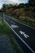 © Vradiy Art/Stocksy - Bicycle lane with pictograms