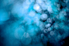 Bright Blue Bokeh, A Light Abstract