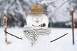 © Luke Mattson/Stocksy - Snowman With Scarf