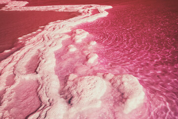 Fototapete - Texture of Dead sea. Salty sea shore. Viva magenta toning