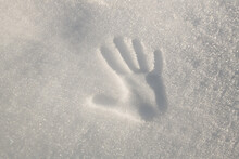 Hand Shape On The Snow