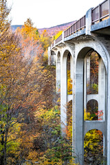  Arched concrete footbridge over a gorge with a yellowed maple grove with colorful crowns and already fallen leaves on the mountains of New Hampshire