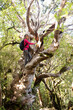 © Thomas Pickard/Stocksy - Young girl and beautiful tree, New Zealand.