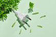 © Marc Tran/Stocksy - Electrical plug with leaves like a plant. Eco, bio, energy