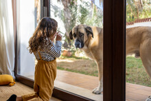 Girl Looking At Her Dog Through The Window At Home