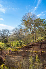 Canvas Print - Rock wall in an old quarry