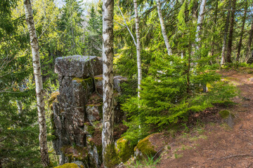 Poster - Footpath to a viewpoint at forest ravine