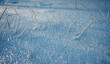© Ivan Andrianov/Stocksy - Cold Winter Close-up