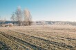 © Liliya Rodnikova/Stocksy - Frozen countryside field in bright sunlight