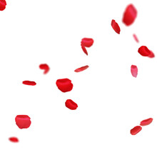 Red Roses Petals In Transparent Background