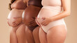 Pregnant body, women or holding stomach in support line, solidarity row or community diversity on studio background. Pregnancy, friends or mothers in underwear for tummy growth or healthcare wellness
