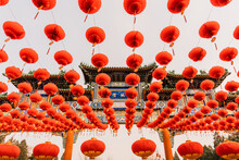 Red Asian Lanterns On Tree