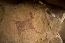 Deer Painting In A Cave.