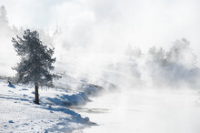 Steam Rising From A River In Winter In Yellowstone National Park, Wyoming.