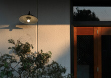 Closeup Chic Door, Plants And Street Lamp Design