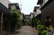 © ChaoShu Li/Stocksy - Closeup residential area with peaceful greenery