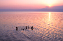 The Dead Sea On The Border Of Jordan And Israel Is One Of The Saltiest Bodies Of Water In The World. Travelers Come From All Over The World To Float In Its Boyuant And Believed To 