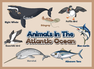 Canvas Print - Set of Animals in the Atlantic Ocean