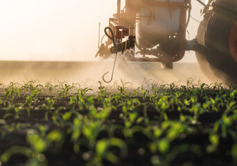 Tractor spraying corn field in sunset