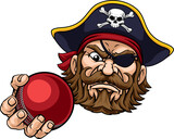 Pirate Cricket Ball Sports Mascot Cartoon