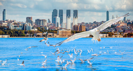 Poster - Dolmabahce palace against coastal cityscape - Flock of seagulls flying - Sea voyage with old ferry (steamboat) in the Bosporus - Istanbul, Turkey