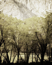 Trees And Granite Cliffs Along The Merced River.
