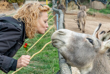 Blond Woman Tenderly Kissing A Donkey That Looks Out From The Fence