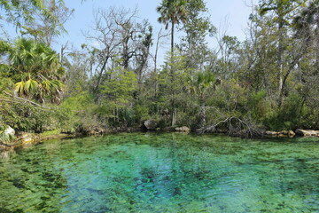 Pitt Spring, By County, Florida, USA